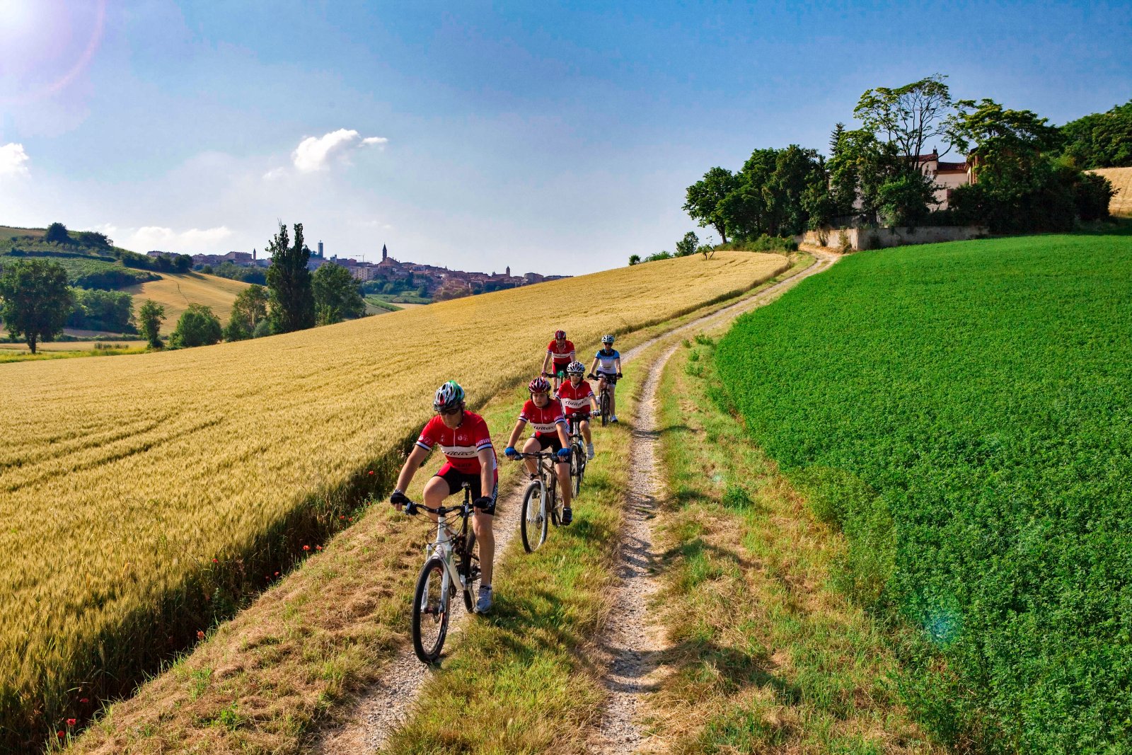 Monferrato, wine, and Fausto Coppi e-bike tour