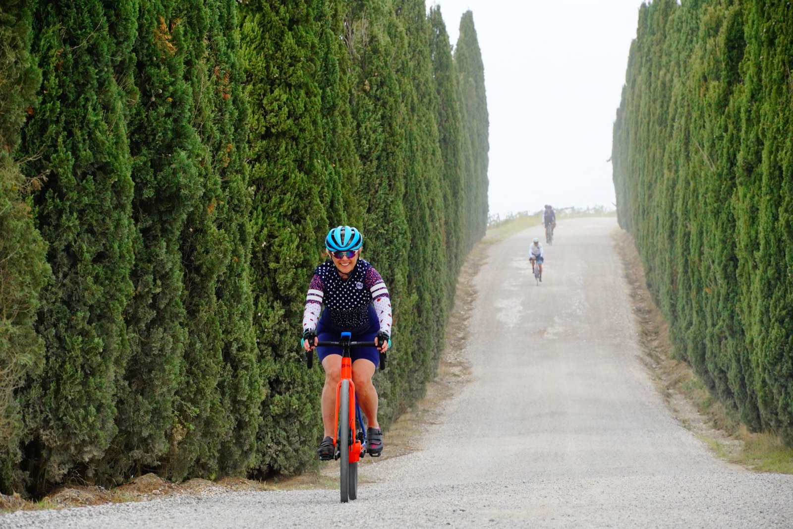 We organize bicycle vacations