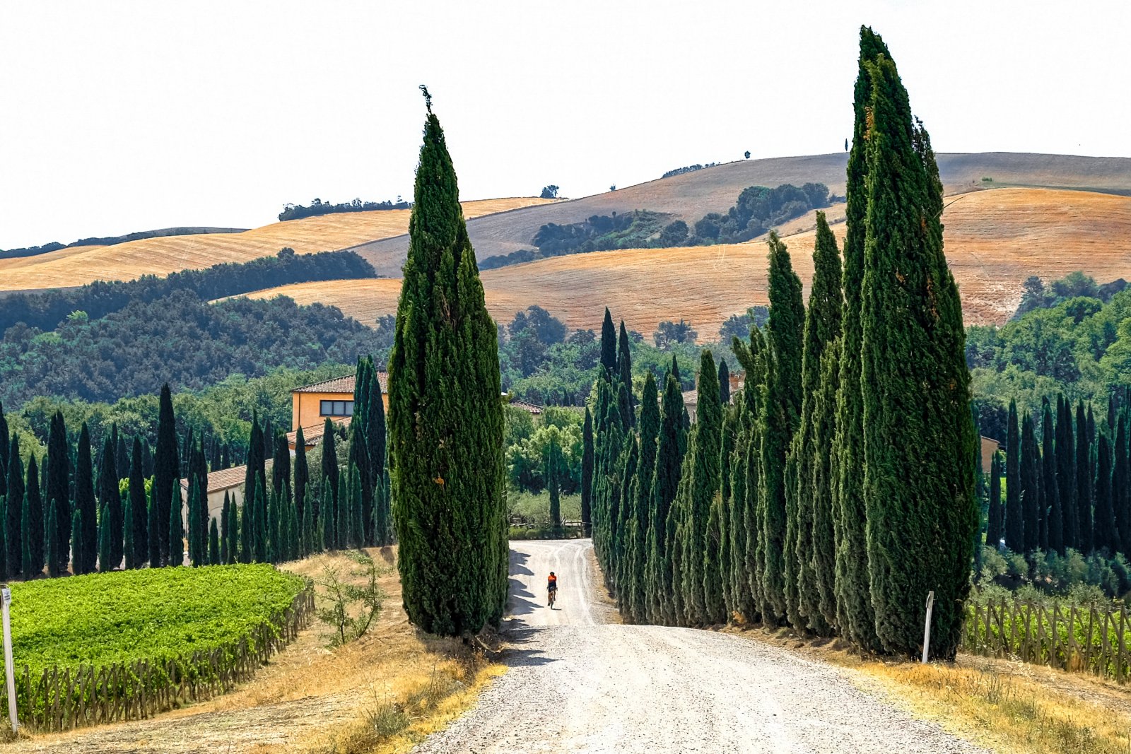 Tuscany: Eroica & Val D'Orcia bike tour