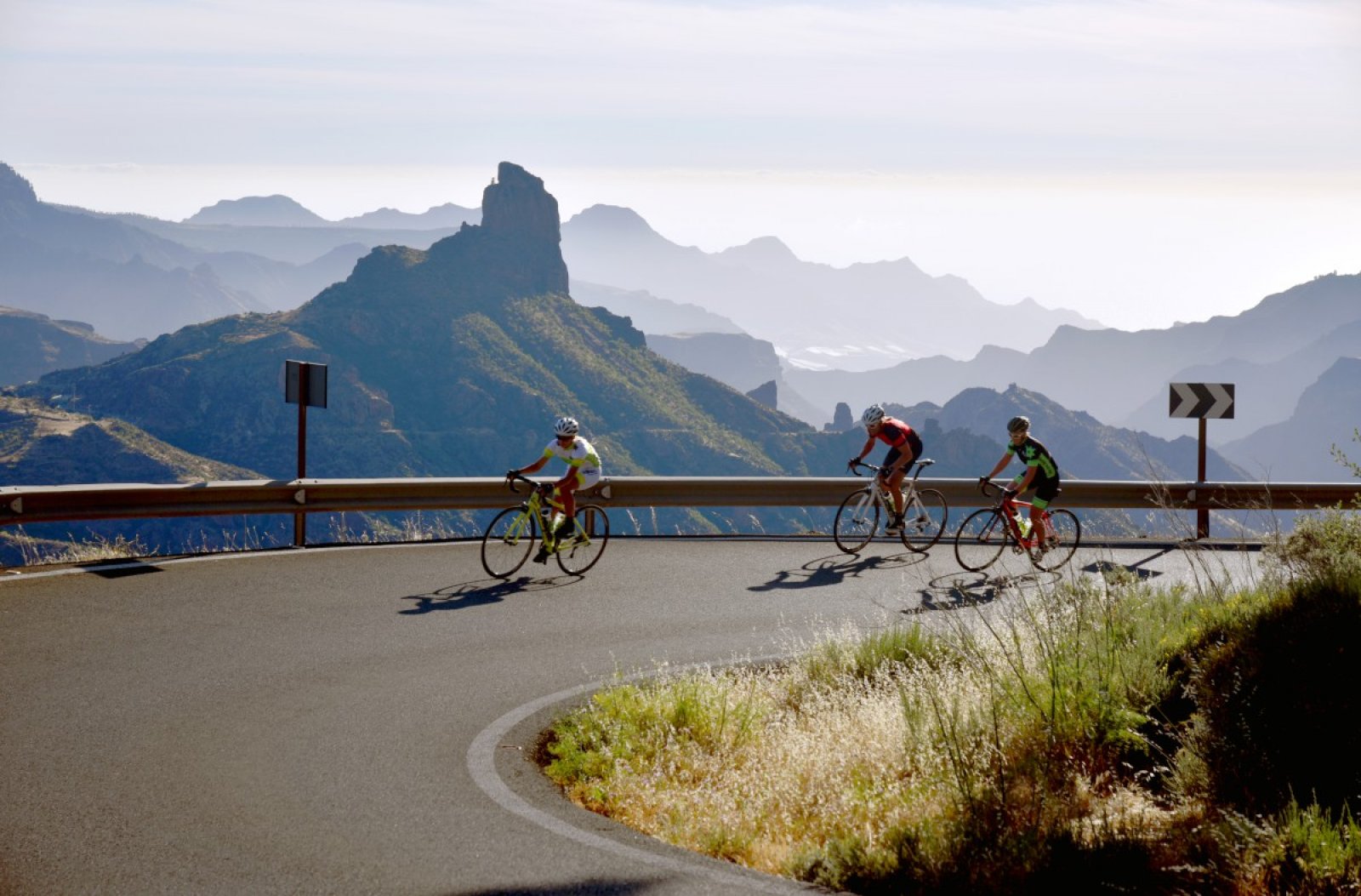 We organize bike tours and bicycle vacations